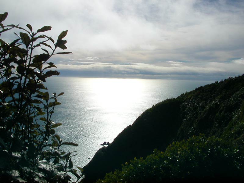 July 2002 Cliffs near Wellington New Zealand